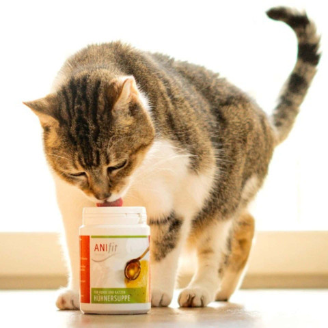 Hond Kat Accessories B.A.R.F. Snacks Voedingssupplementen Kippensoep 80g 1 Stuk -2- Anifit